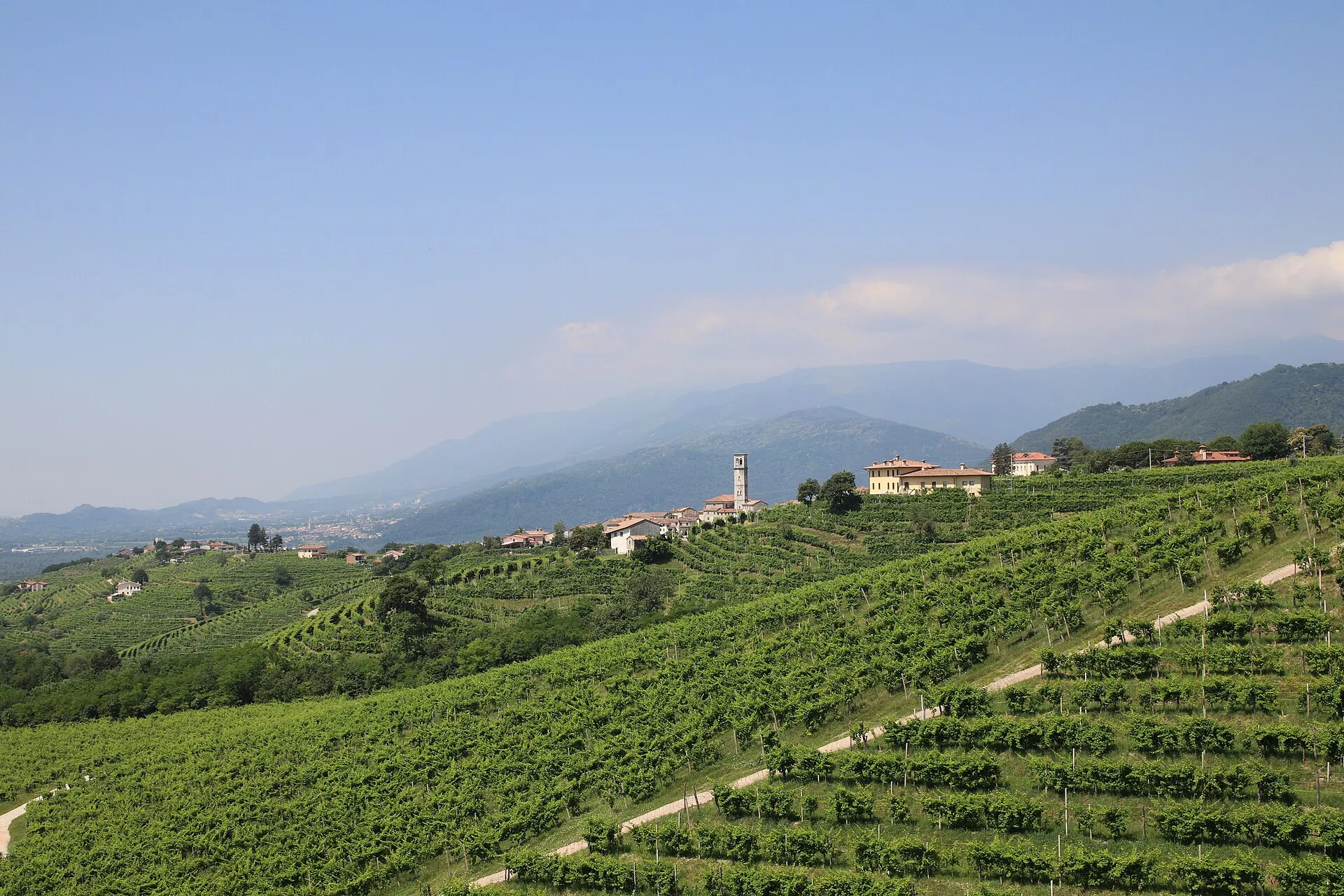 Colline del Prosecco — Colline dove la luce delle Prealpi diventa vino